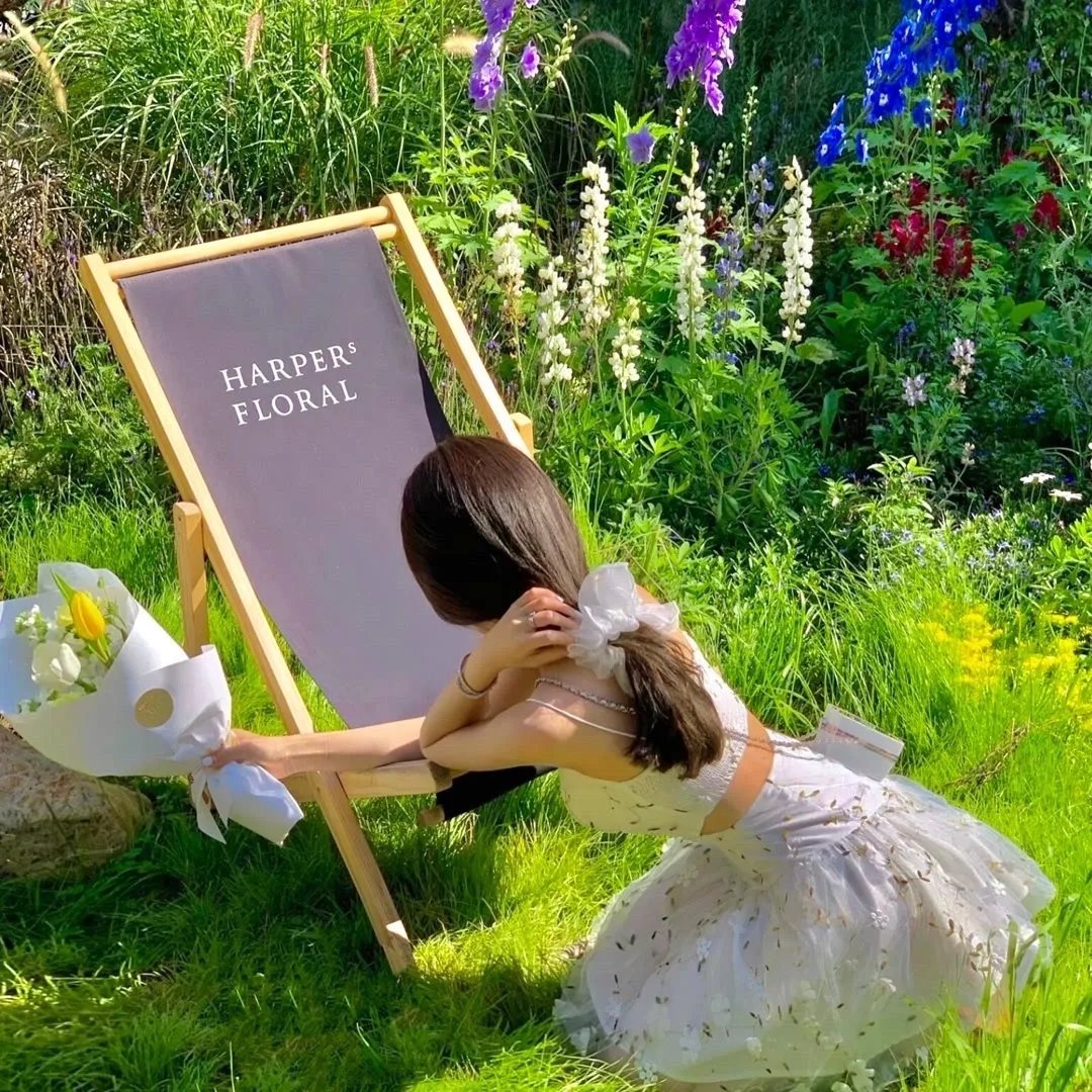 指环王1:护戒使者国语