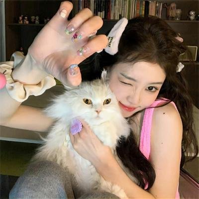 虹猫蓝兔火凤凰